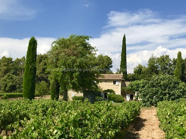 En Provence, beau mas à louer avec vue sur les vignes du Luberon 